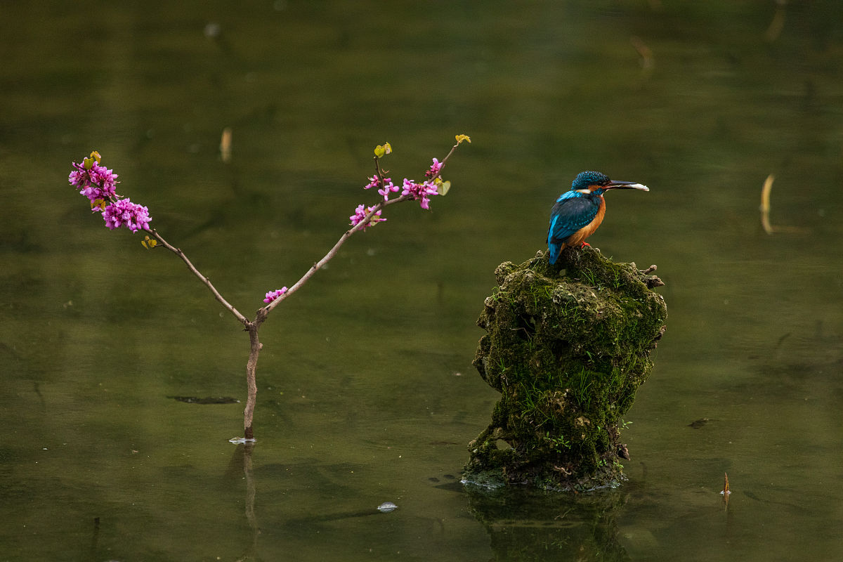 2018成都华西卫校招生要求：入学条件及报名指南