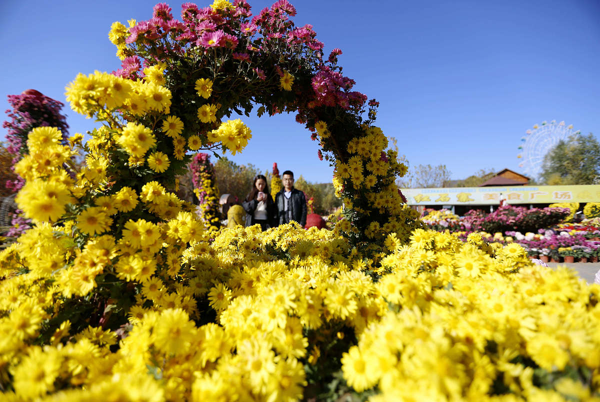 山东水利职业学院软件与信息服务专业怎么样？好学吗？就业前景如何？