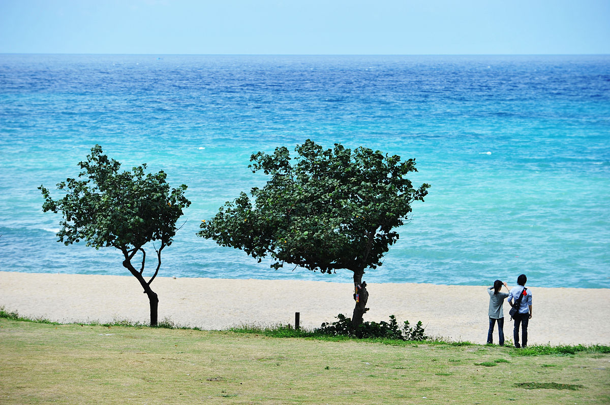 旅游和旅行的区别