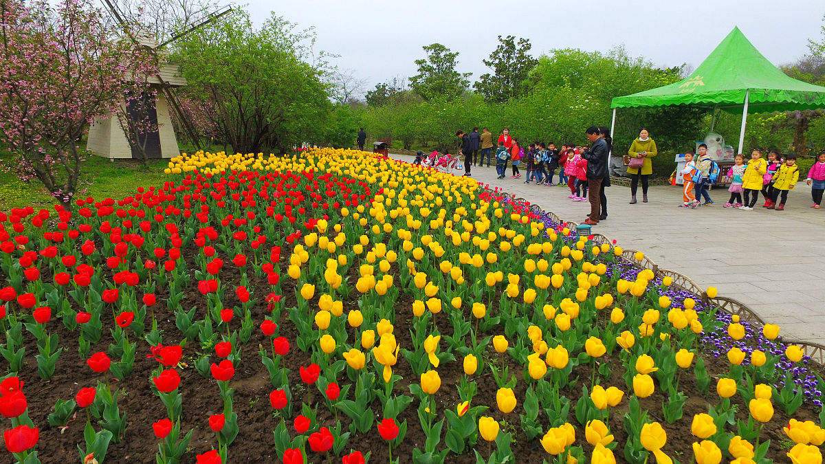 十一假期 北京奥森公园花海 & 雁栖湖西山步道徒步 | 400字作文