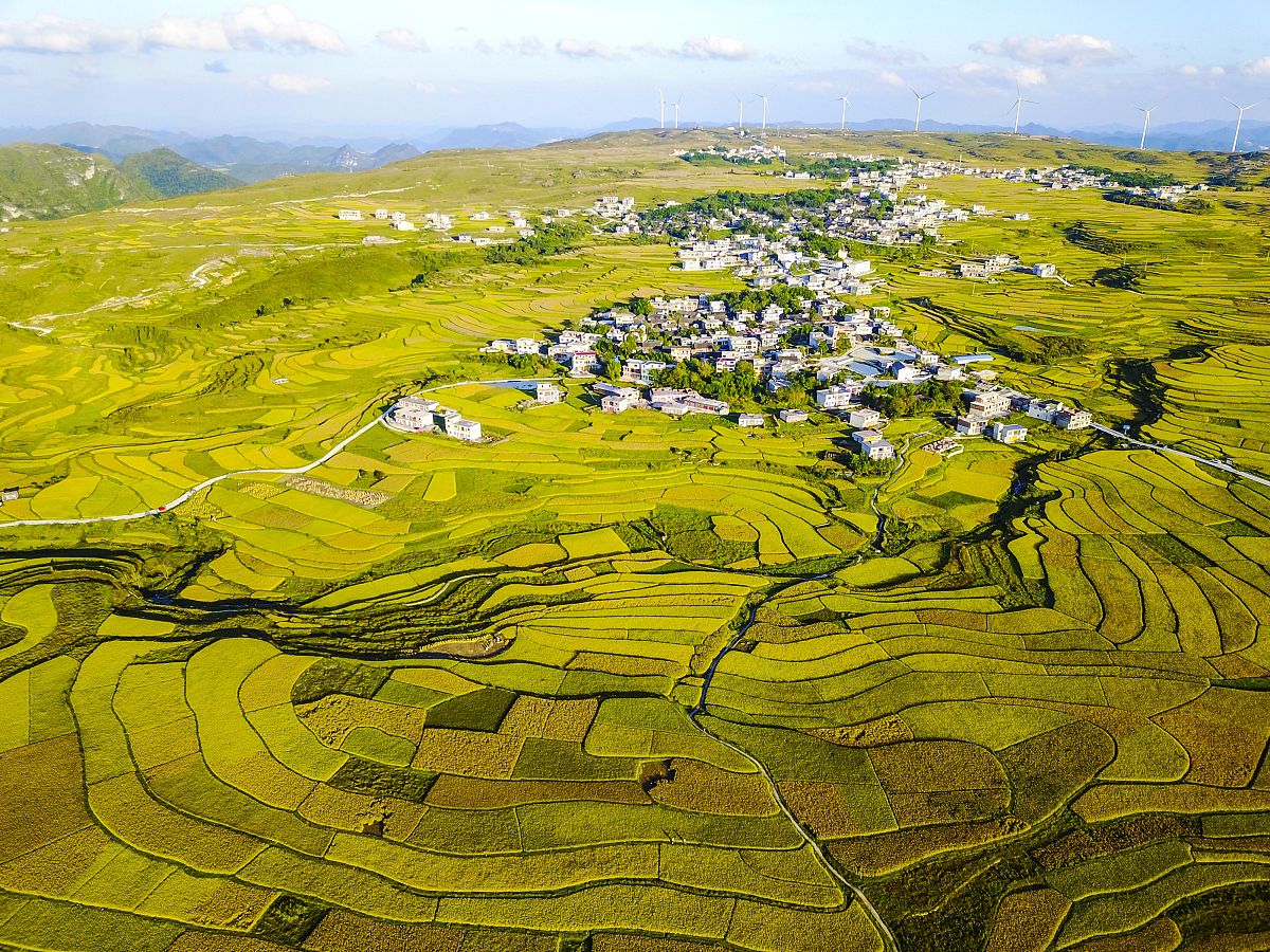 贵阳2023年哪些大专的轨道交通学校比较好