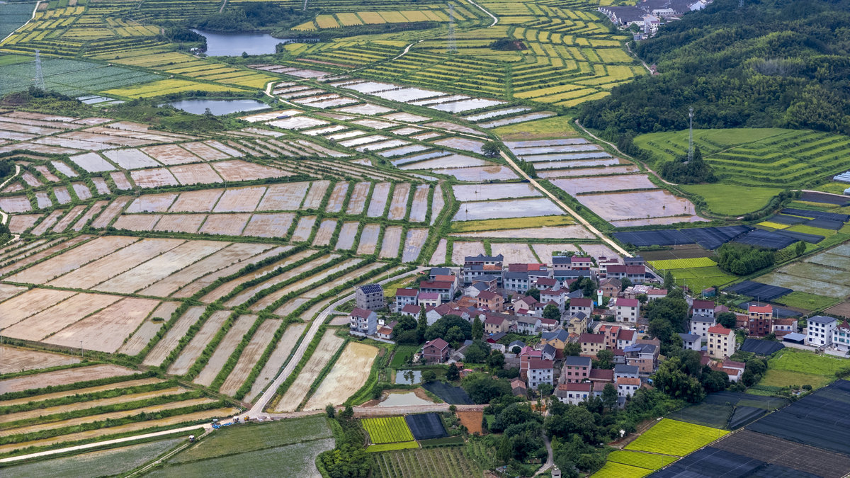 浙江乡村振兴：背景、政策与发展方向