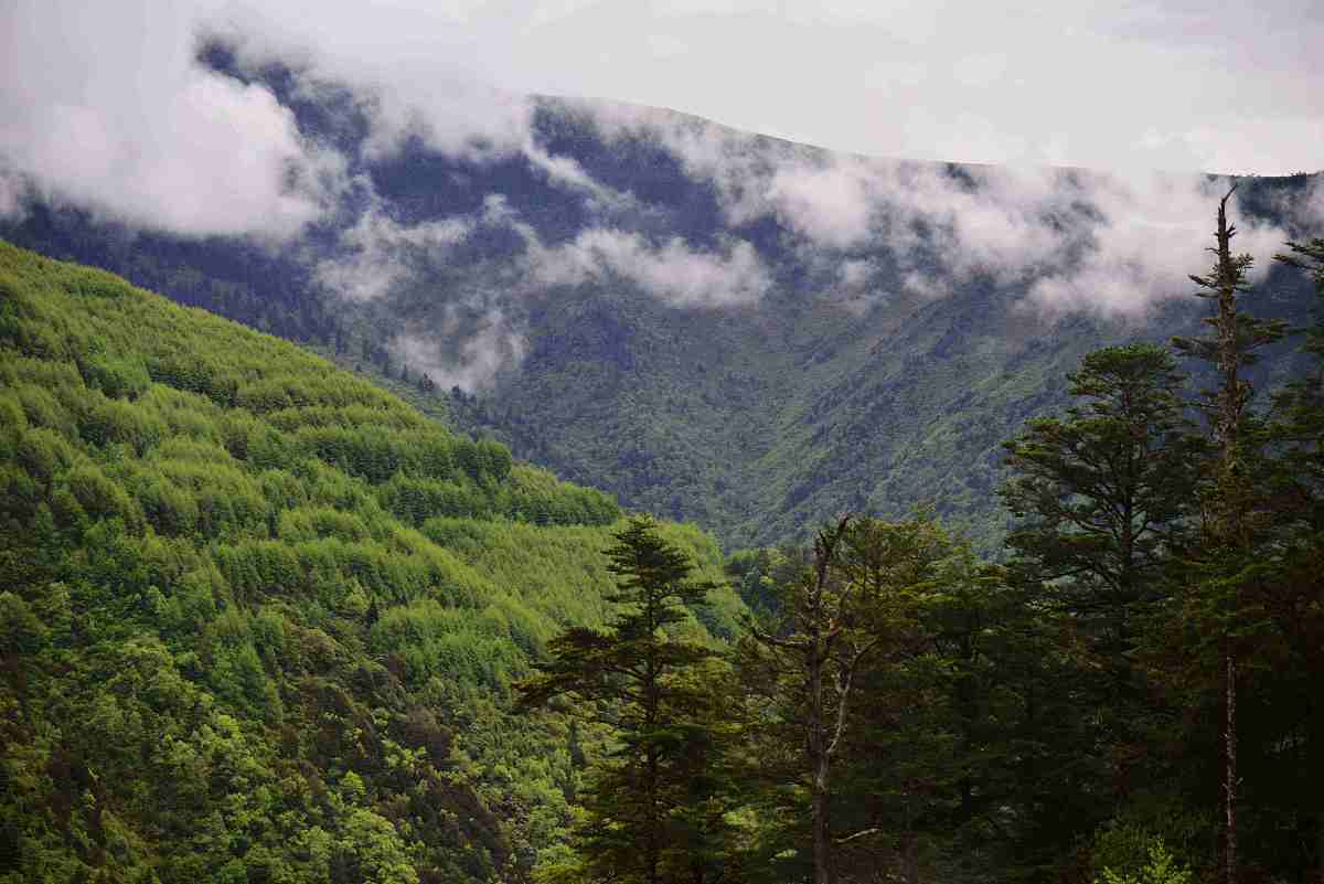 2019雅安市职业高级中学招生简章