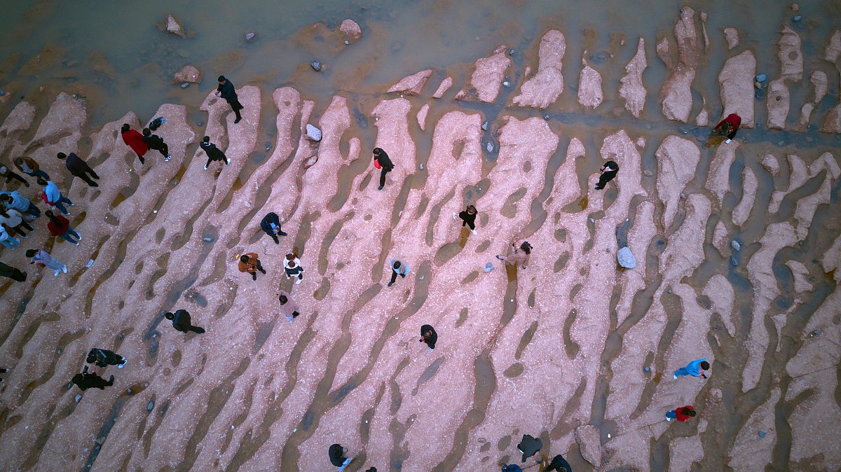 小学三年级数学微项目：探究圆的面积