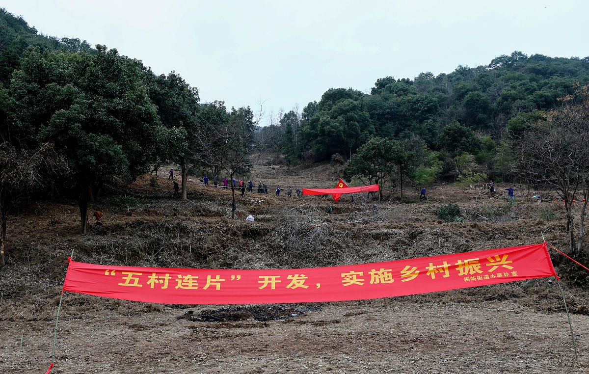 重庆市森林资源保护：公众参与度低的原因及对策