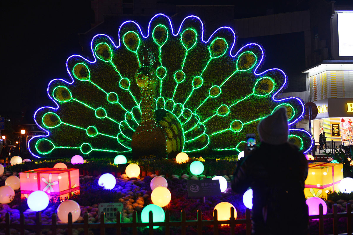 曲靖市高级技工学校2019年招生专业