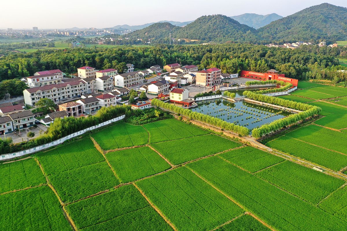 2023乡村振兴调研报告：现状、问题及发展方向