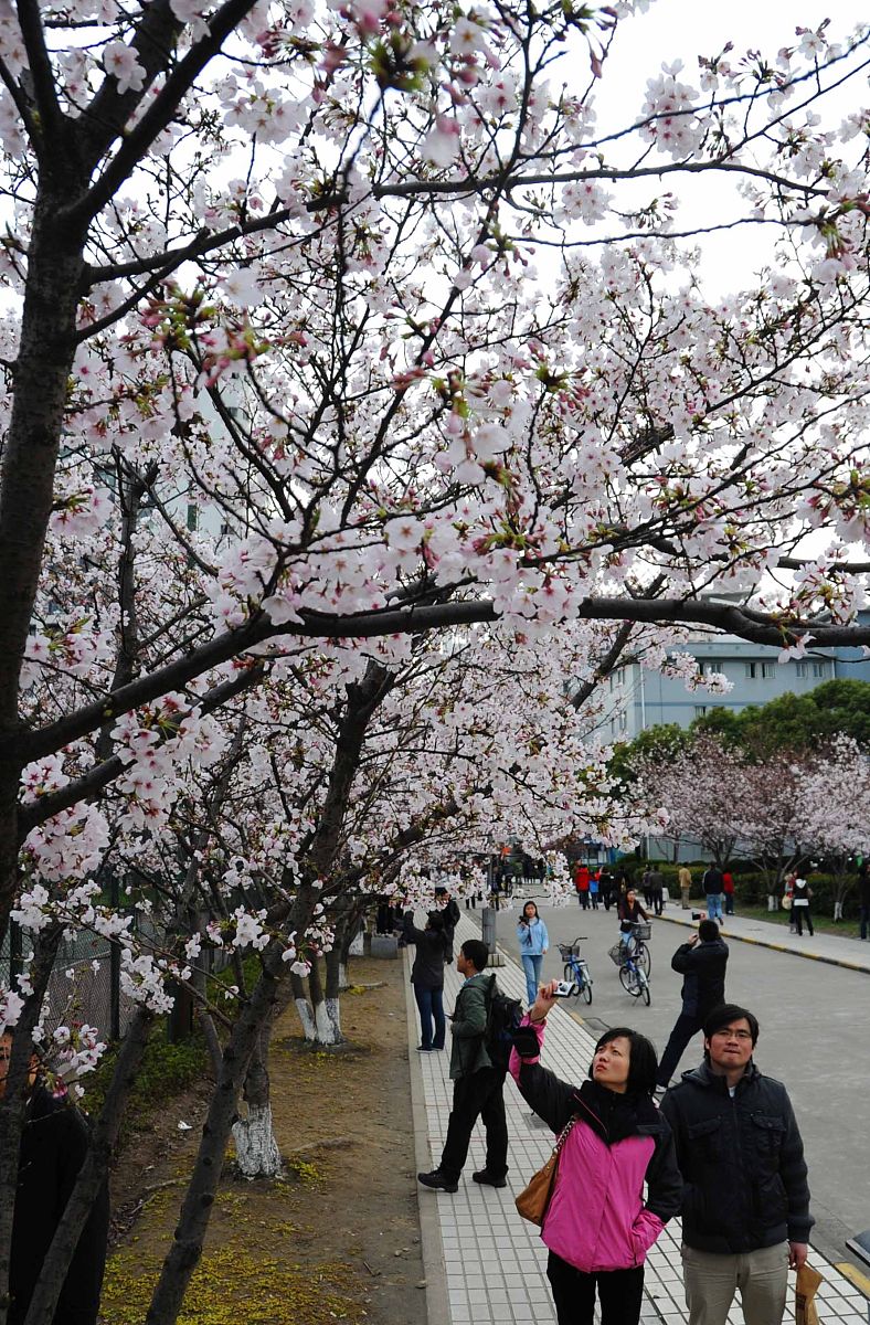 四平职业大学药剂专业：值得你选择的专业吗？