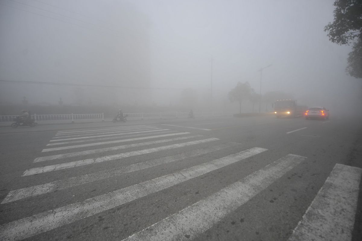 滨河东区道路柳絮泛滥，严重影响居民健康和环境安全