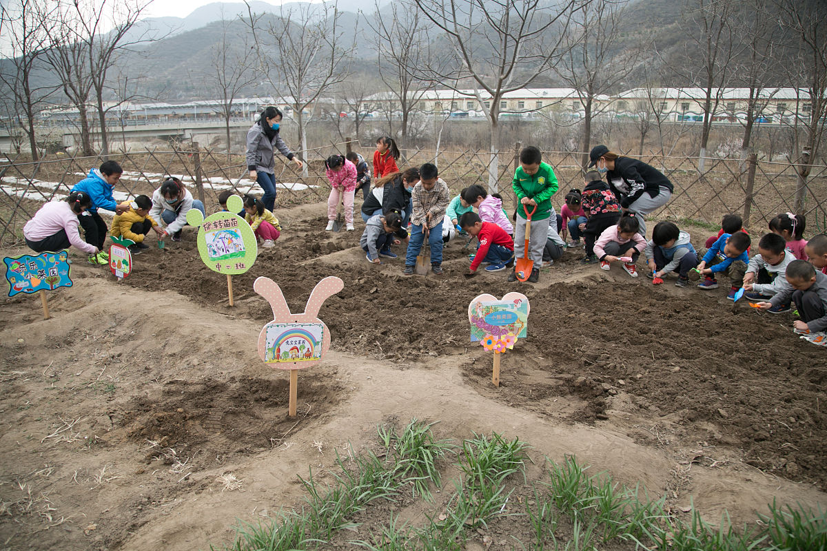 黑龙江幼儿师范高等专科学校语文教育专业怎么样？教学质量、师资力量、实践机会分析