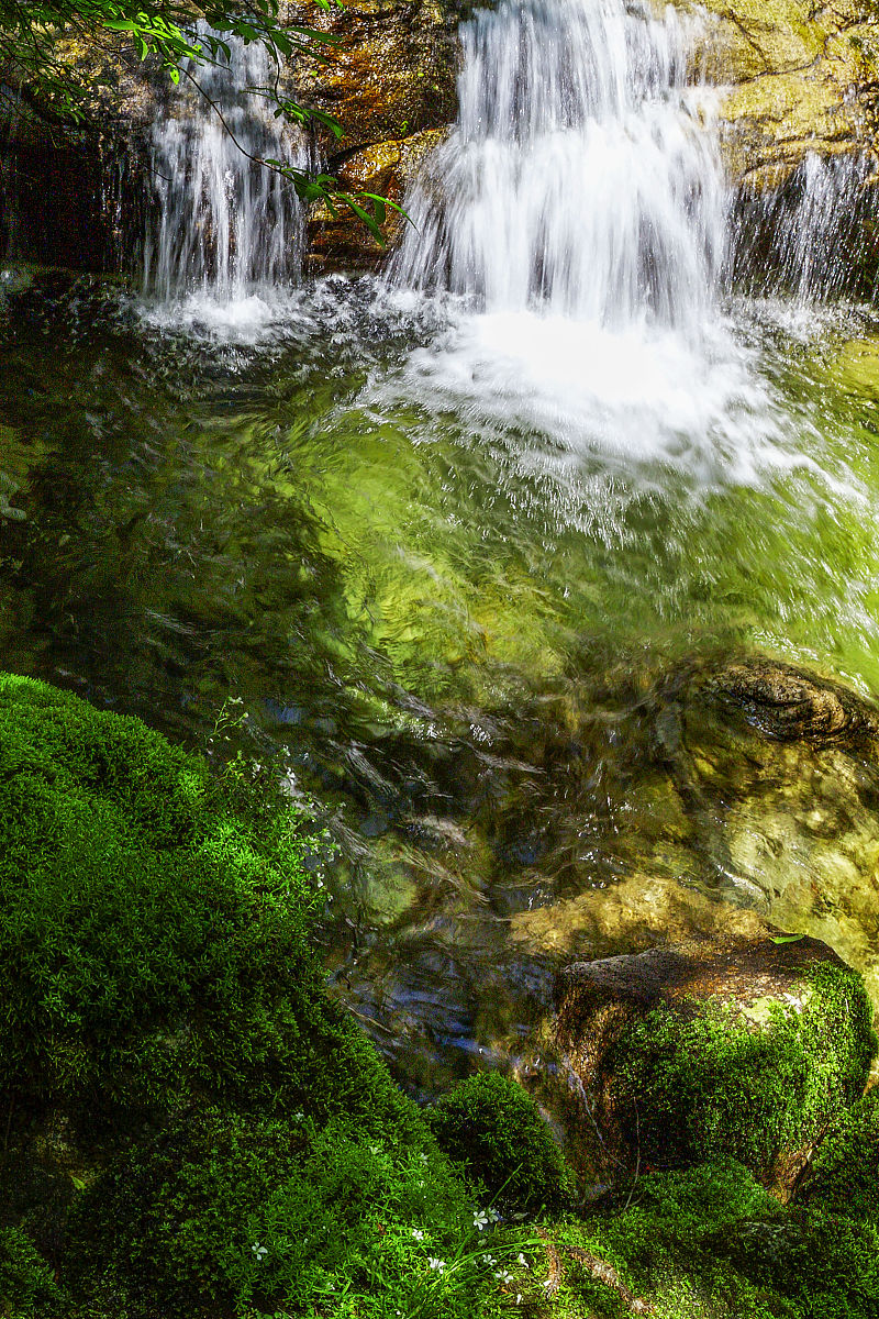 2021年5月30日,西安长安区,秦岭溪流.(如需下载 请务必署名 曾文平/视
