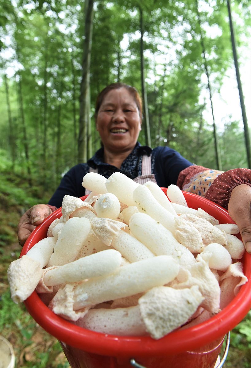 福建农业职业技术学院金融管理专业课程设置详解