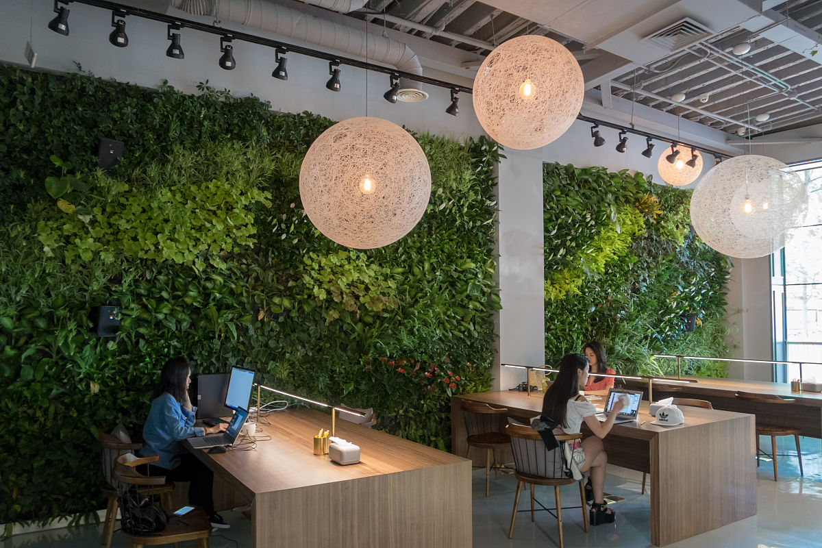 由图31整体设计图我们可以看出它的整体布局是比较简单大方、实用各个空间的距离不是很远而且含有丰富的绿色元素很符合低密度绿色自然办公空间的设计特点。其主要功能分区为：会议室、前台、一个老板办公室、两个经理室同时还包含超大公共开放式办公区和茶水间供员工使用每一处角落都充满绿色的氛围使整个办公室处于一个轻松绿色的环境。将这段话美化和扩句