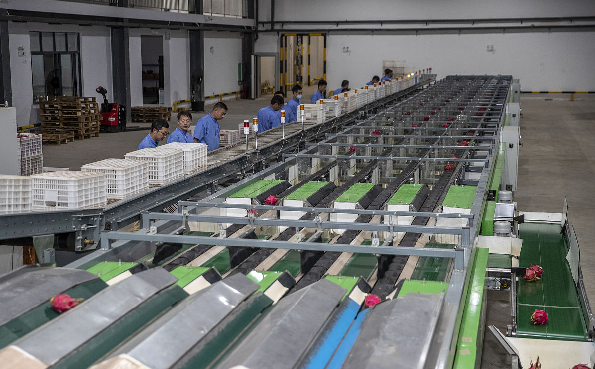 结合华润物流的 案例果蔬冷链物流中分拣设备的选型及应用