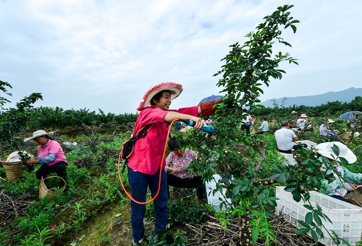 2018年巴中市那些中专学校具有招生资质学校名单
