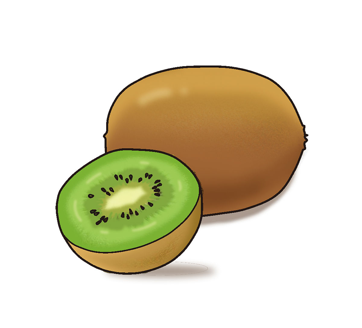 IXKW 组成的单词：奇异果、蜡状、植物等