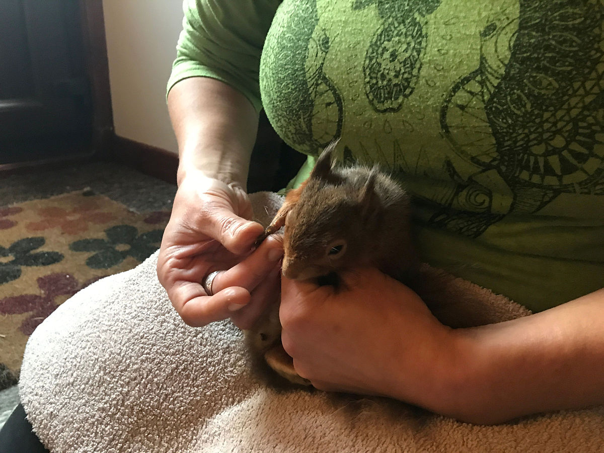 三只松鼠仓库管理流程存在哪些问题？