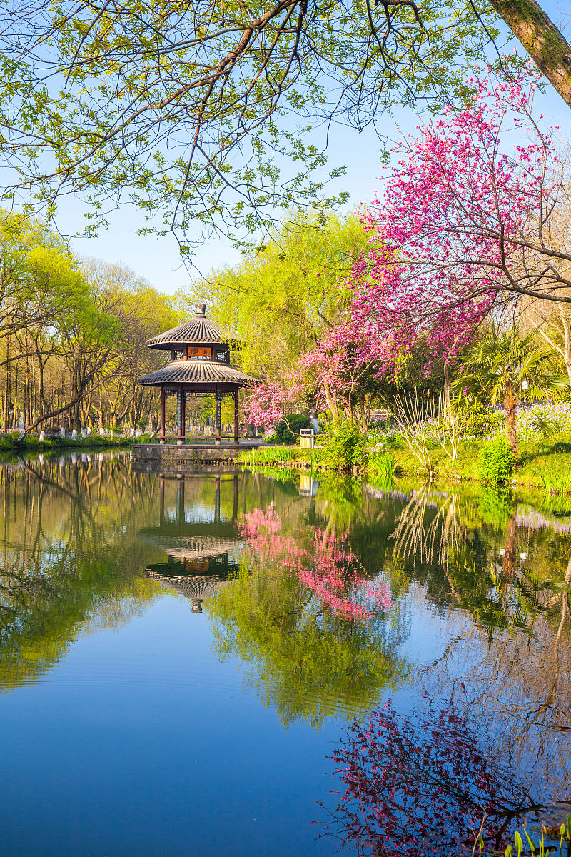 请出一首春天的西湖的诗