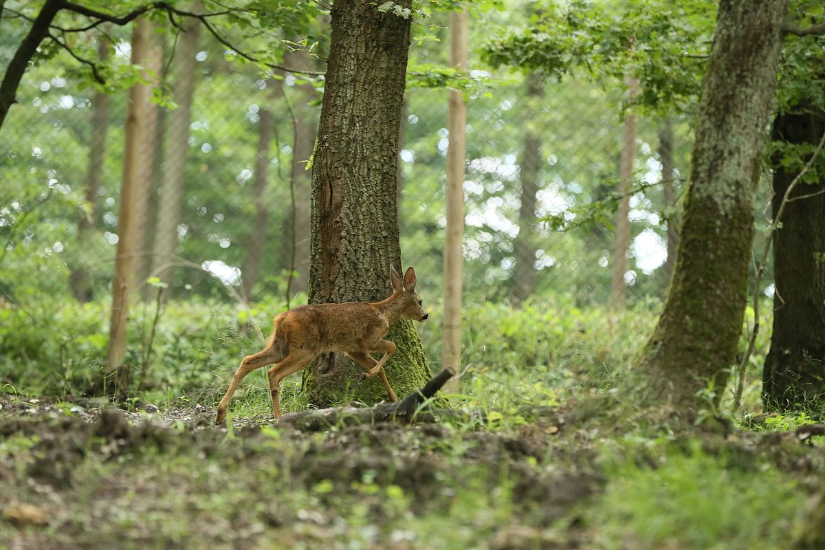 浙江女生可以读护理吗