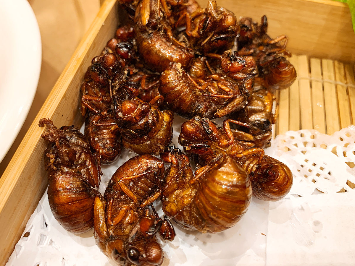 酥脆知了猴：炸出美味的秘诀