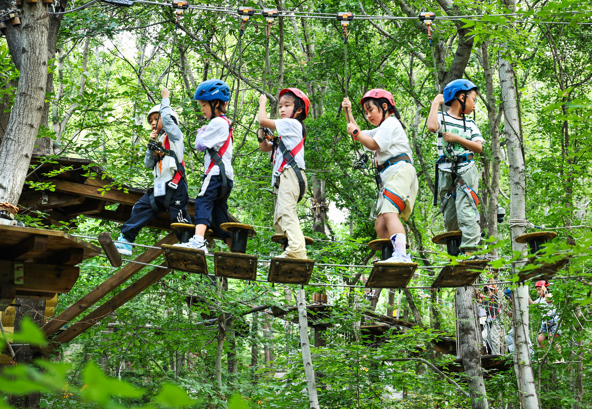 60人团建方案：探索森林，趣味游戏与挑战并存