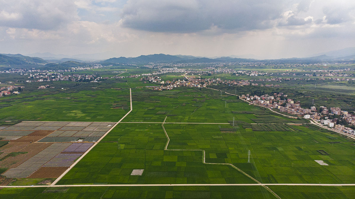 云南农业职业学校2019年五年制专业招生信息