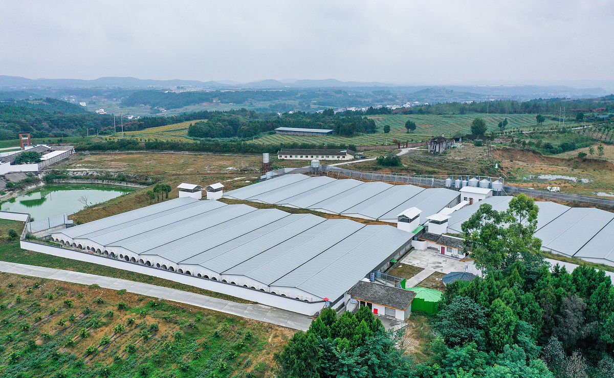 域外生猪基地选址与建设方案