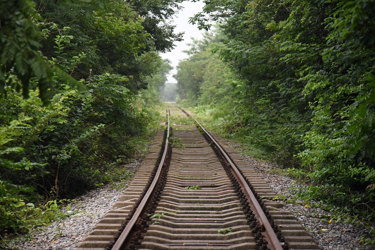 六盘水2020年铁路学校的专业有哪些