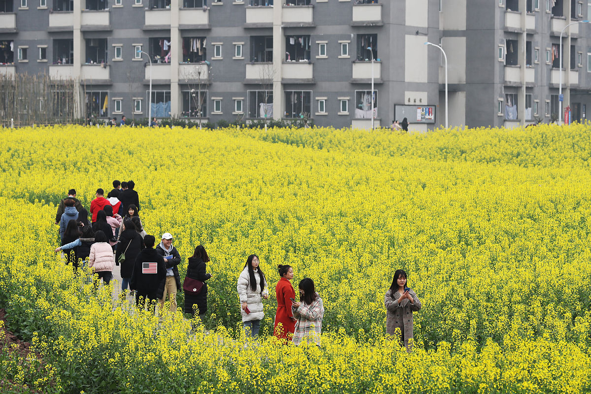 重庆轻工职业学院单招2023年单独招生简章