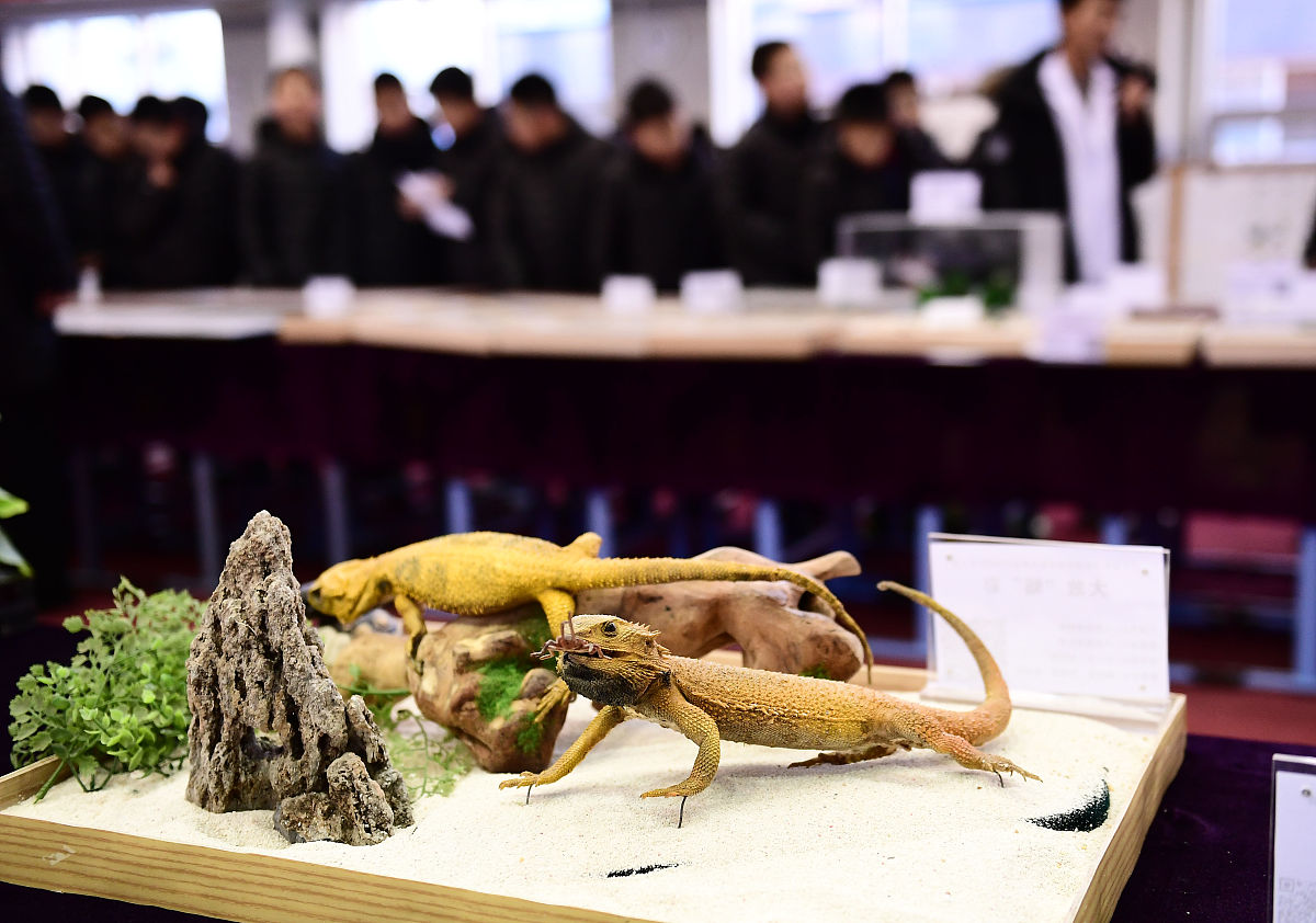 贵州商业高等专科学校物业管理专业有5年制大专吗？