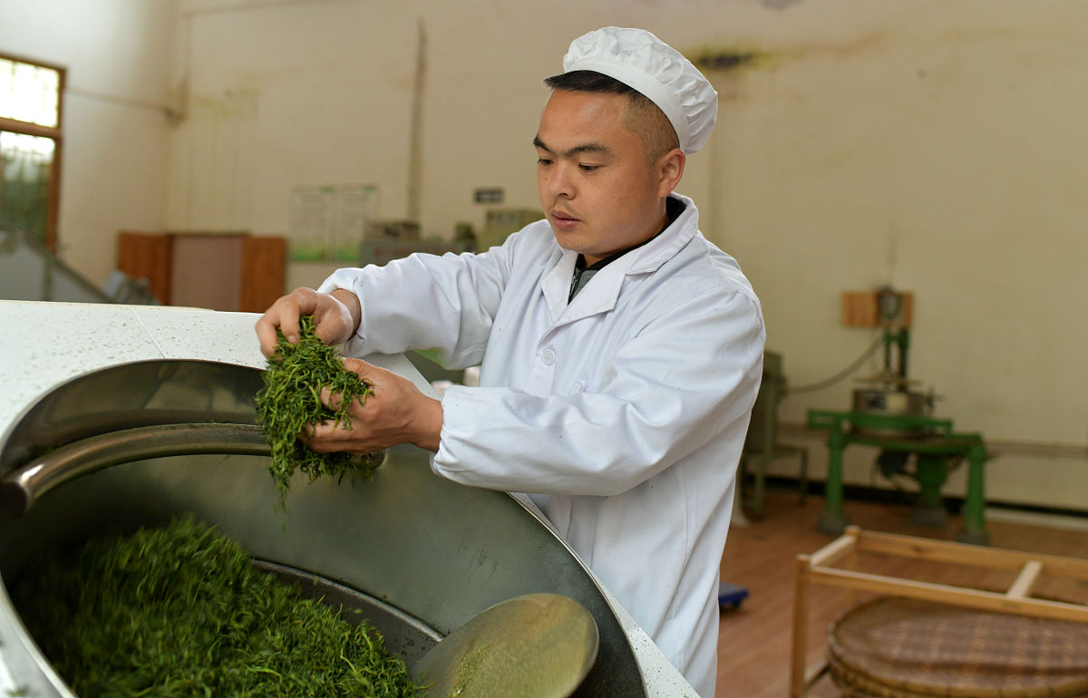 遵义职业学校自动化专业就业前景分析：职业规划指南