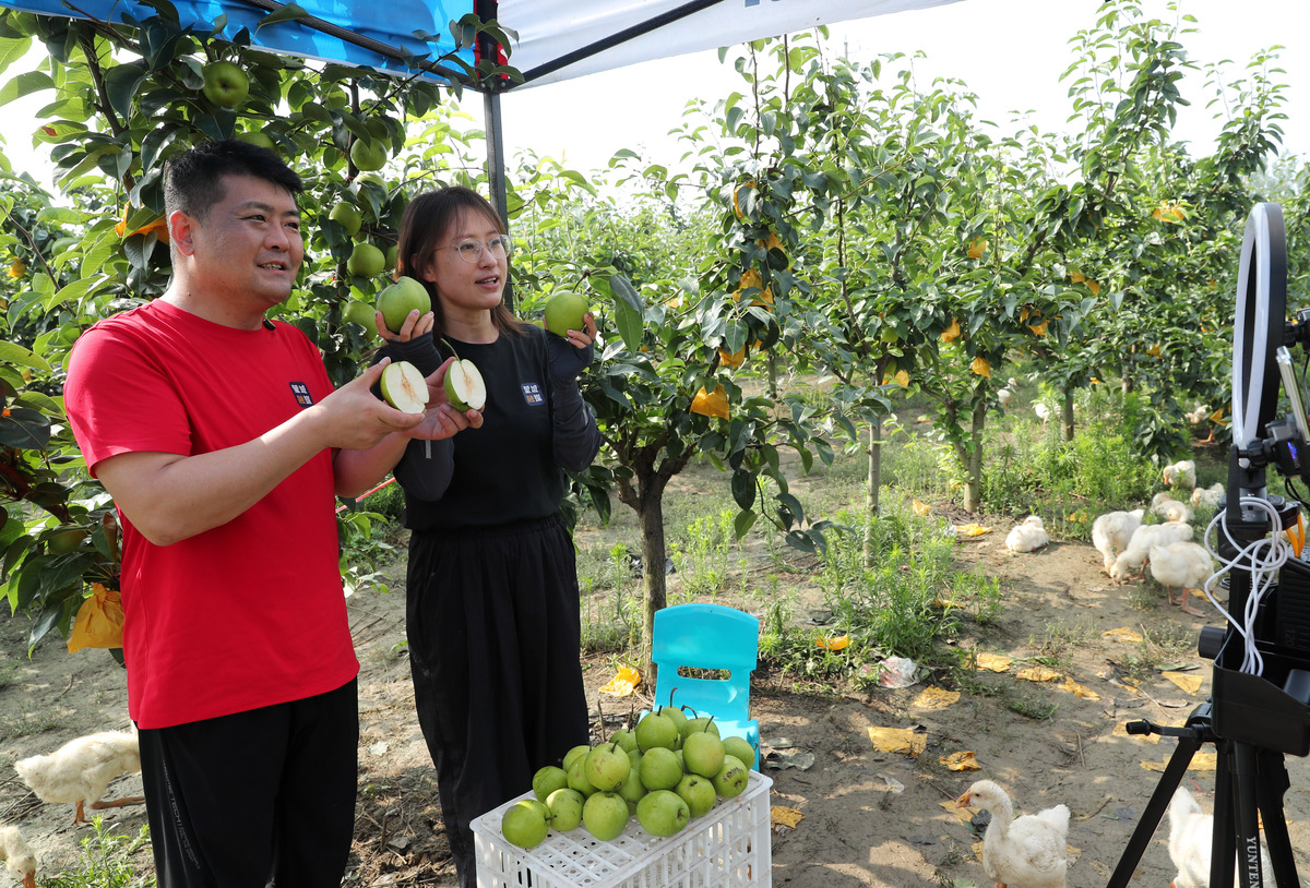 钟祥附近集体经济村推荐 - 洪山村集体经济示范区