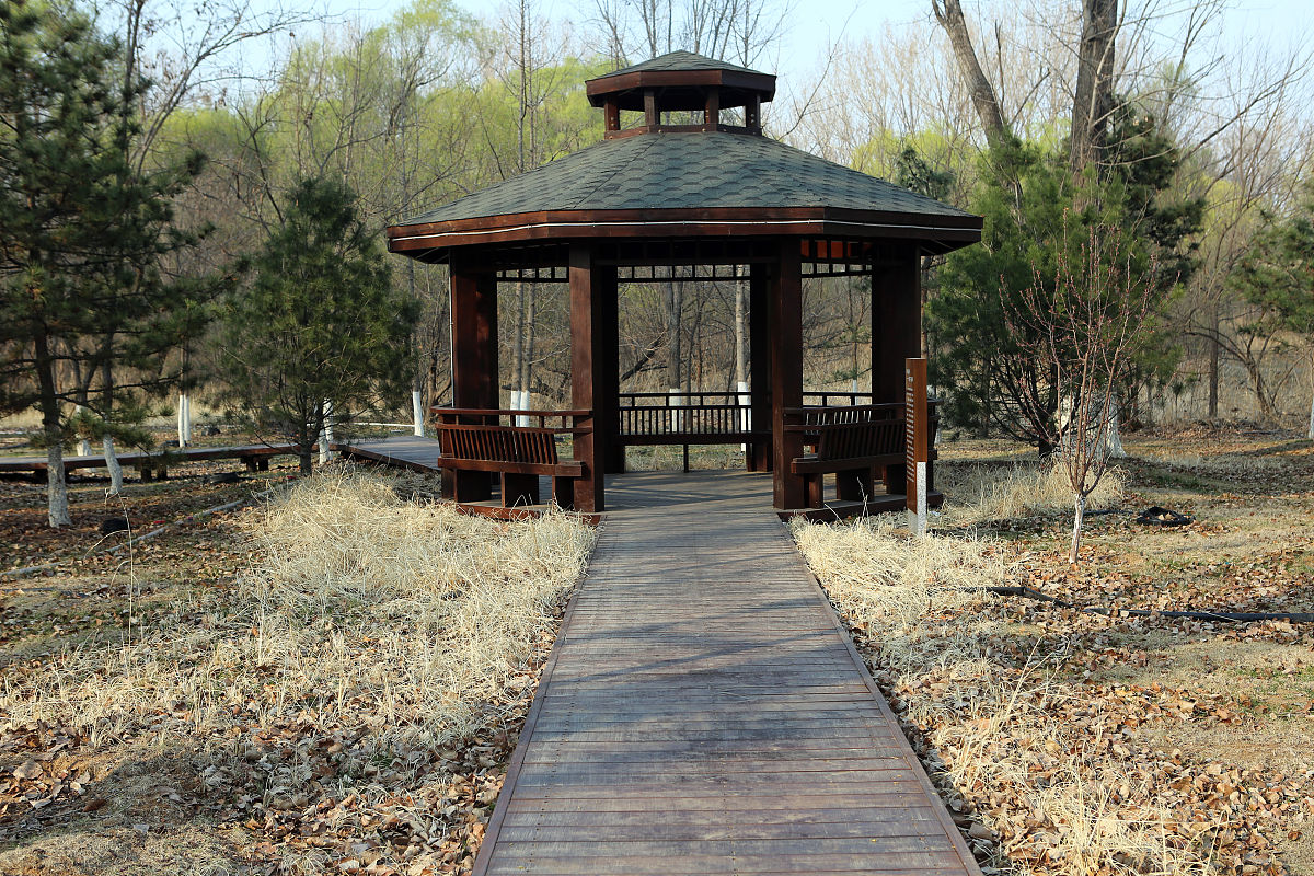 秦皇岛大东职业学校2021招生简章