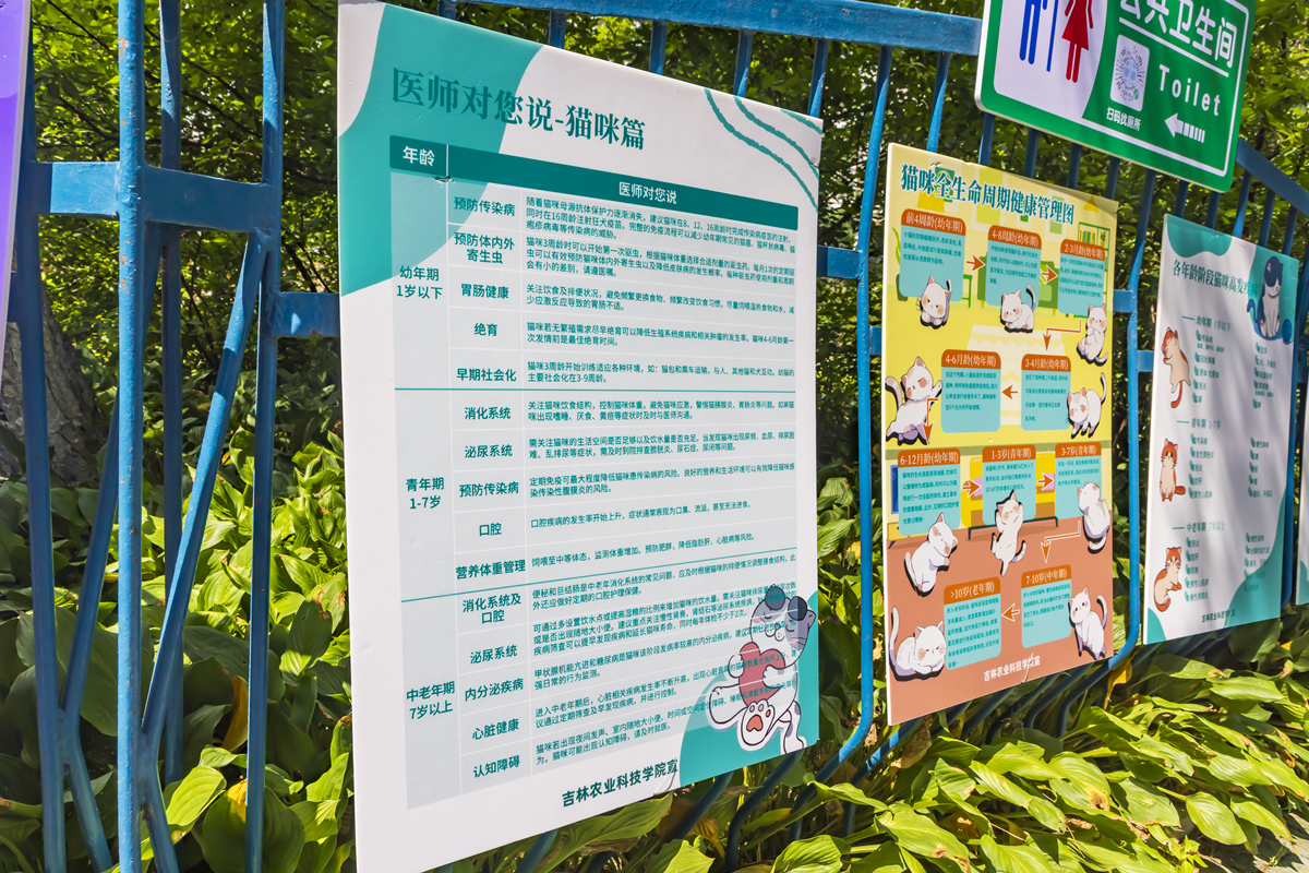 疫情防控网格管理：社区防控的重要手段