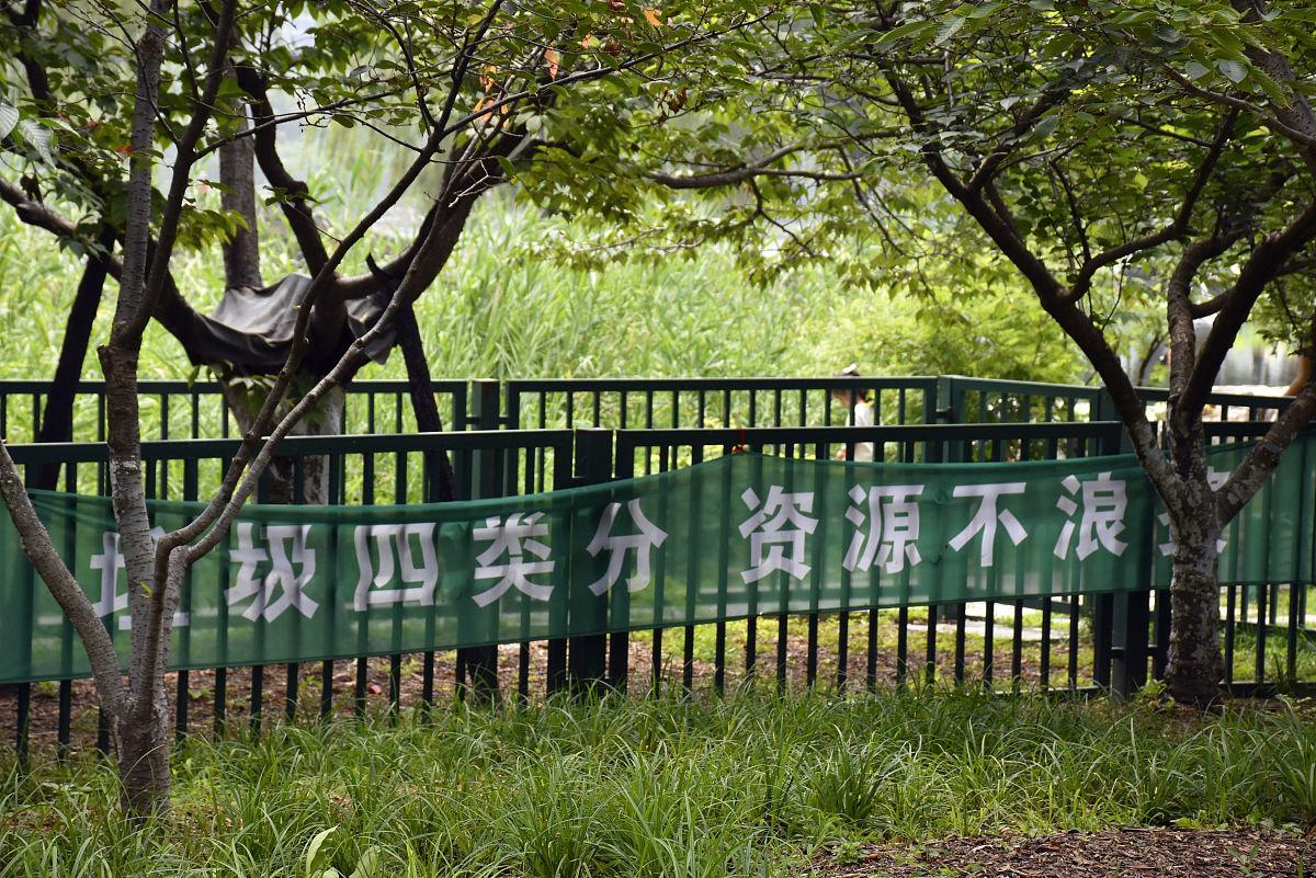 青岛树木遭刻字引热议，警方迅速介入调查并呼吁文明行为