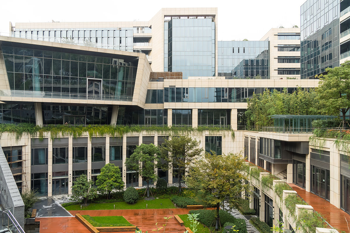 城市化进程与自然景观的演变2000字