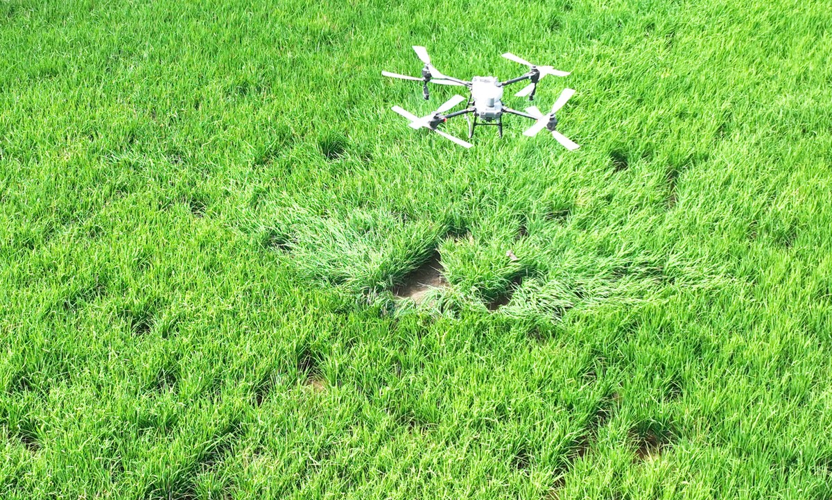 重庆农业机械化学校航空服务是什么办学层次的