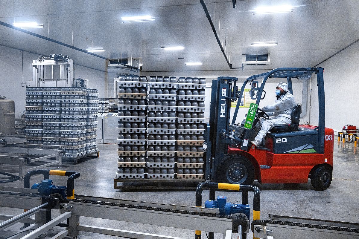 重庆万盛职教中心2021年招生办联系电话