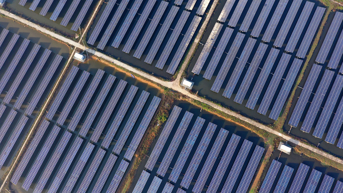 如何看待广东动员30万青年下乡返乡兴乡 500字