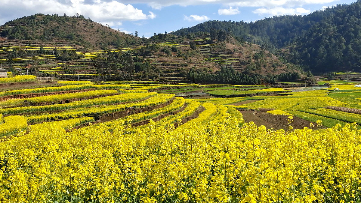 昆明市外国语学校英语专业招生 - 2022年招生简章