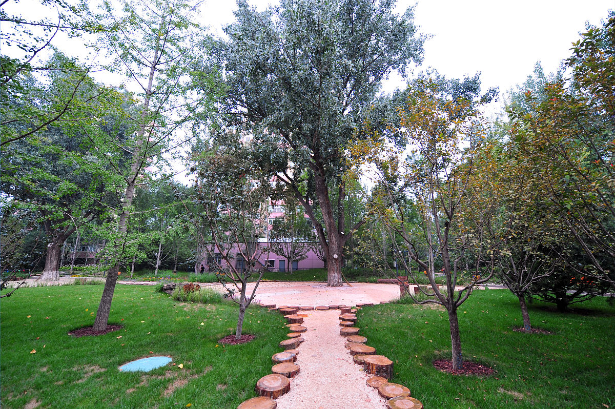 杨树的分子设计育种大计：一个搞笑的话剧