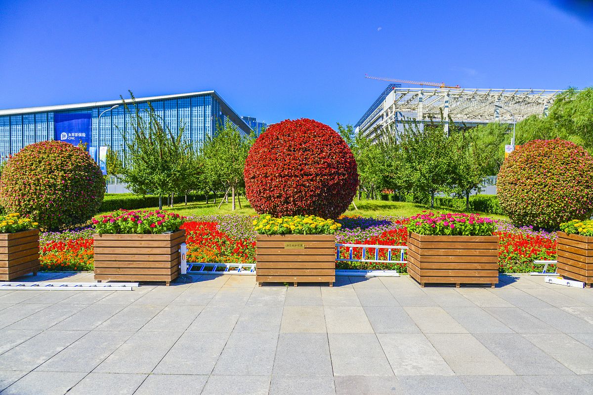 高低层组合花箱实景案例：打造户外绿化空间的完美选择