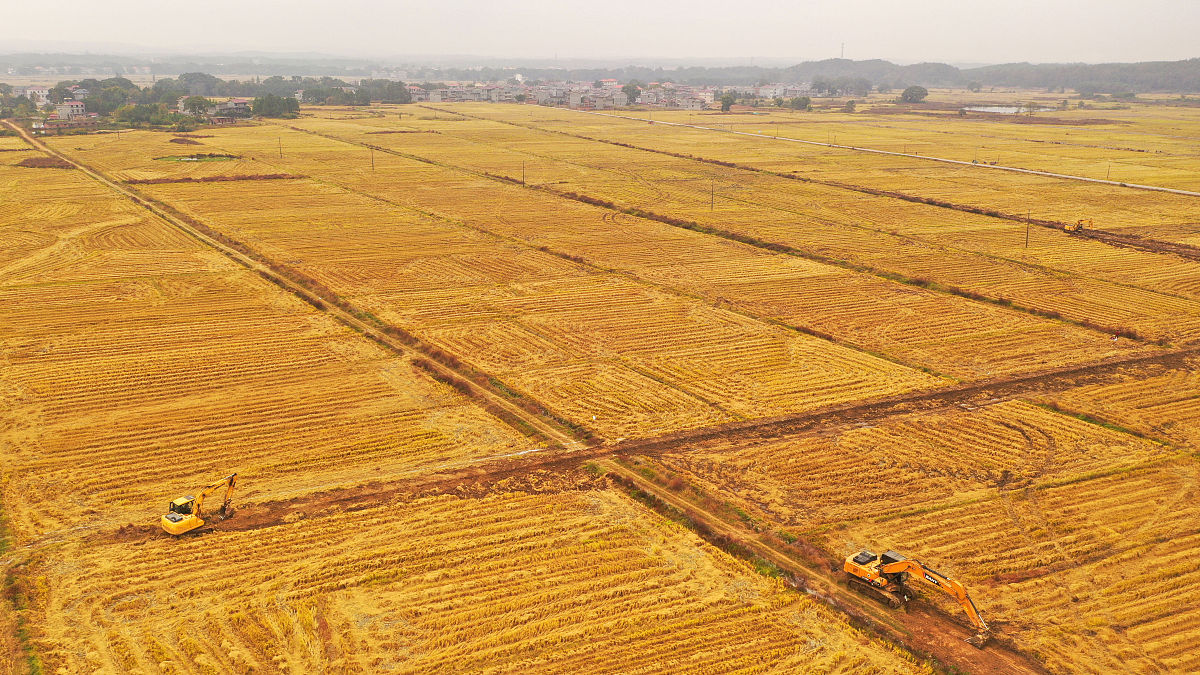 曲靖市农业学校2023年中专招生专业简章