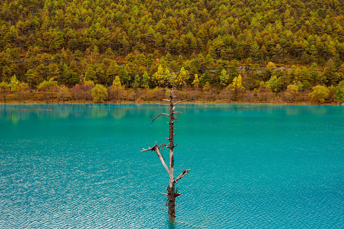 2023年云南经贸外事职业学院工程造价招生简章