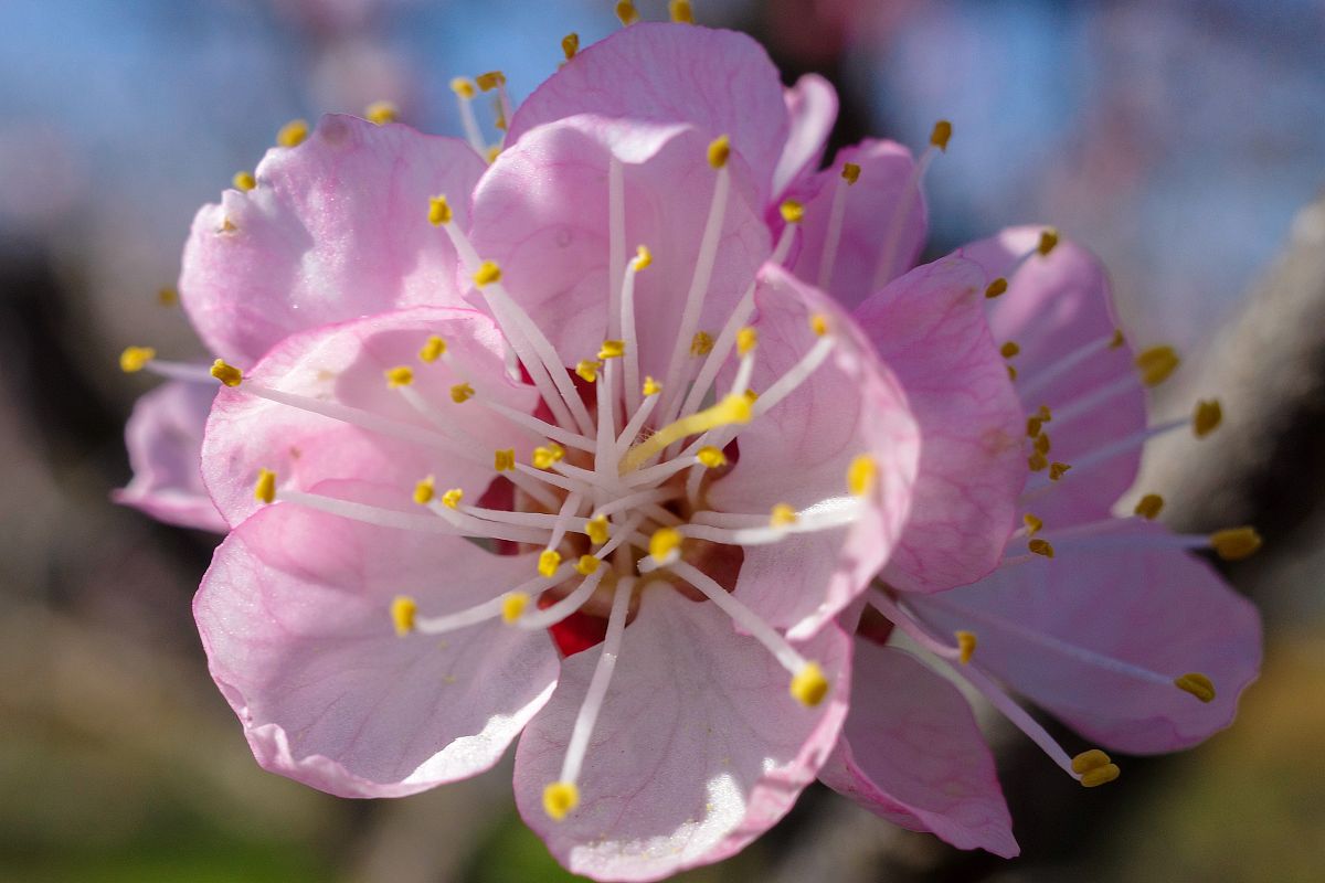 写一篇《谈美》读后感
