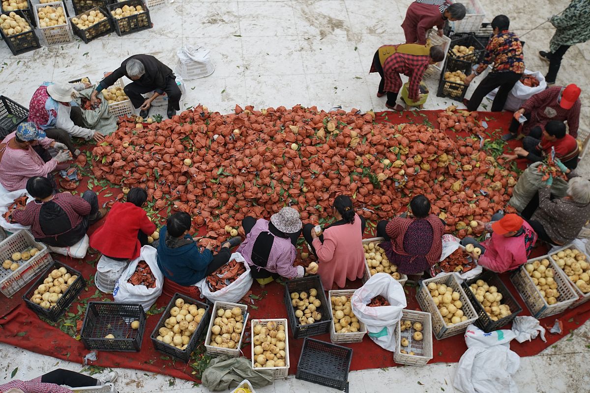 河南农业职业学院园林技术专业怎么样？就业前景分析