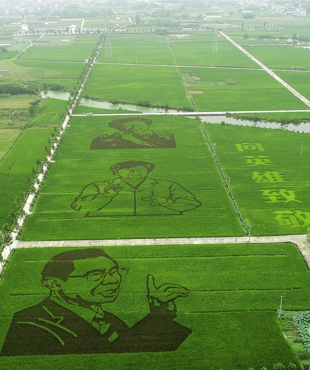 平凡而热烈的英雄之光：致敬那些默默奉献的人们