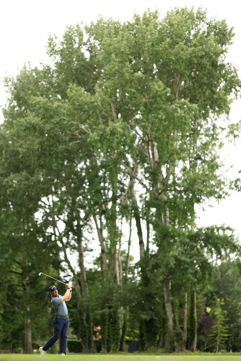 丛生蒙古栎 回答加拓展