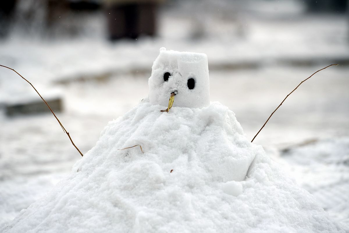 家乡的雪 写一篇300字小学作文