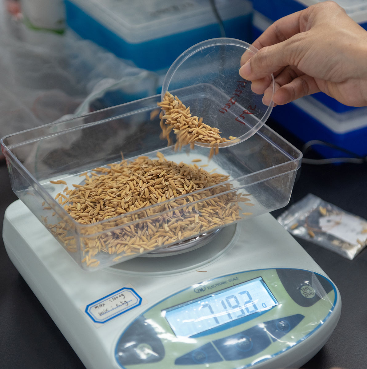 恒重是指二次称量之差不超过